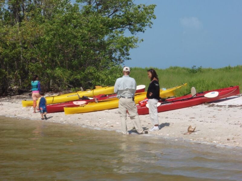 Everglades: Boat Assisted Kayak Eco Tour - The Sum Up