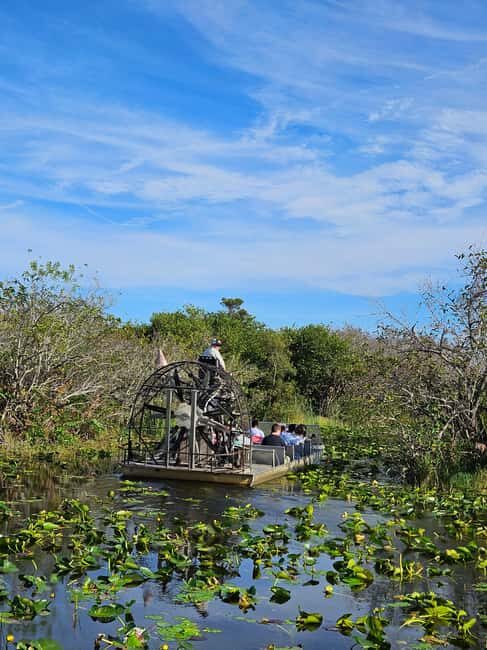 Everglades: boat tour with transportation& entrance included - The Practical Aspects: Transportation, Duration, and Comfort