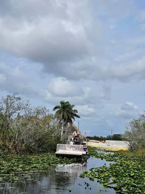 Everglades: boat tour with transportation& entrance included - Authentic Encounters and Review Insights