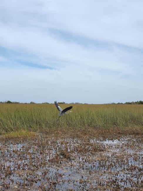 Everglades: boat tour with transportation& entrance included - Who Will Love This Experience?