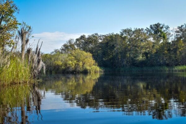 Everglades City: Guided Kayaking Tour of the Wetlands - The Sum Up