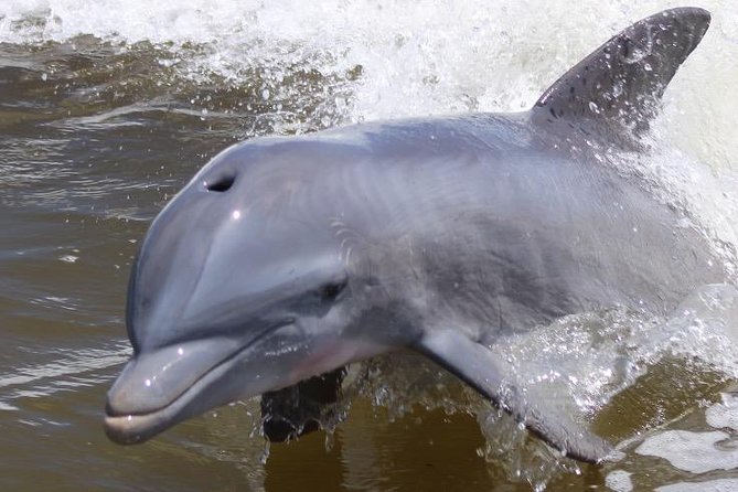 Everglades Day Safari From Ft Lauderdale - Tour Details