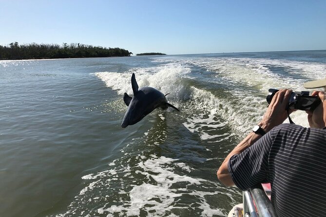 Everglades Day Safari From Ft Lauderdale - Airboat Ride Through Everglades National Park