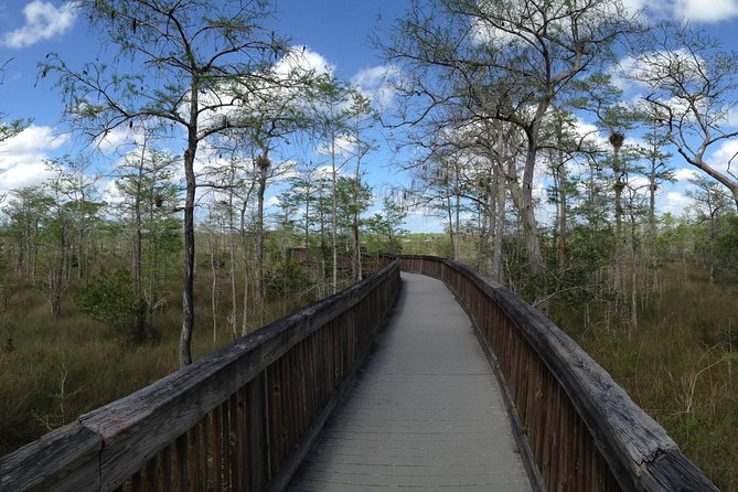 Everglades Day Safari From Ft Lauderdale - Morning Hotel Pickup in Fort Lauderdale