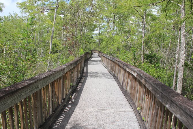 Everglades Day Safari From Miami - Common Questions