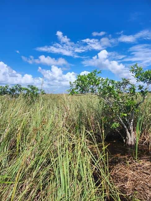 Everglades Eco Airboat Tour small group & top transportation - Good To Know