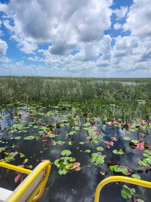 Everglades Eco Airboat Tour small group & top transportation - An In-Depth Look at the Everglades Eco Airboat Tour