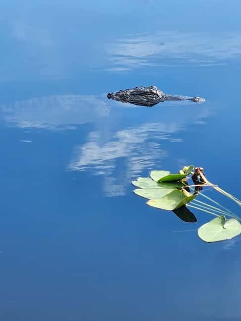 Everglades Eco Airboat Tour small group & top transportation - Final Thoughts