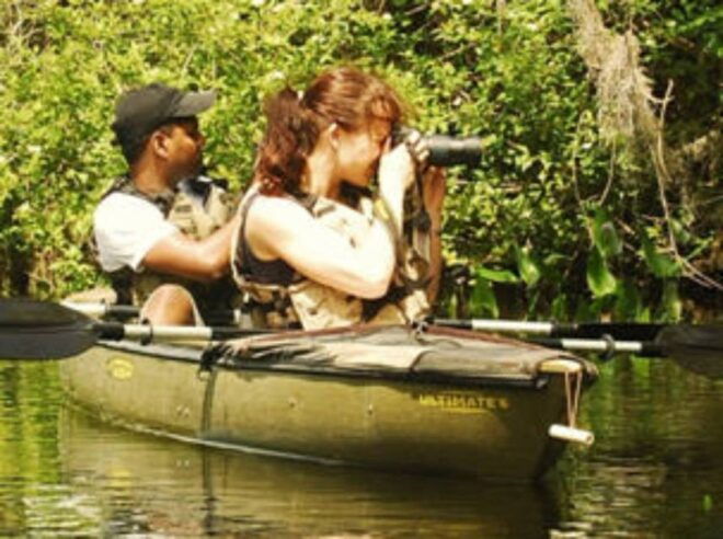 Everglades: Everglades Alligators and Orchids Kayak Eco Tour - Customer Reviews