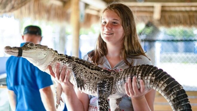 Everglades: Guided Kayak, Airboat Tour, and Alligator Show - Transportation