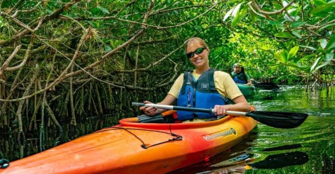 Everglades: Guided Kayak, Airboat Tour, and Alligator Show - Guided Airboat Tour
