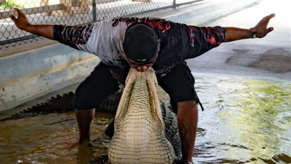 Everglades: Guided Kayak, Airboat Tour, and Alligator Show - Additional Recommendations