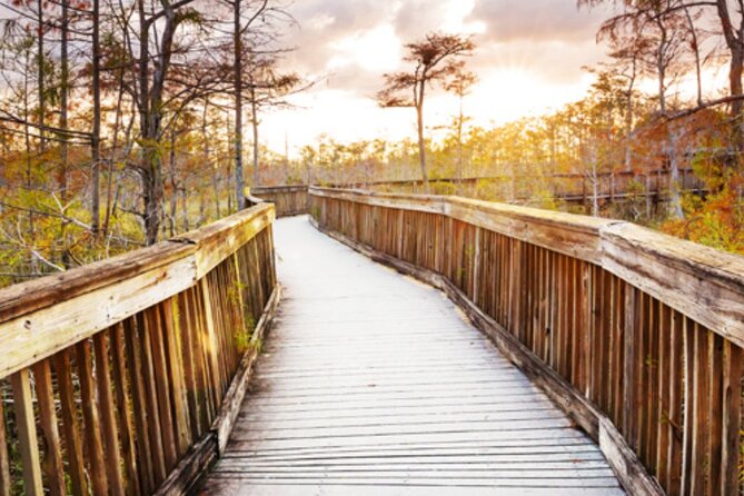 Everglades Immersion Tour: The Ultimate Everglades Adventure - Tour Overview