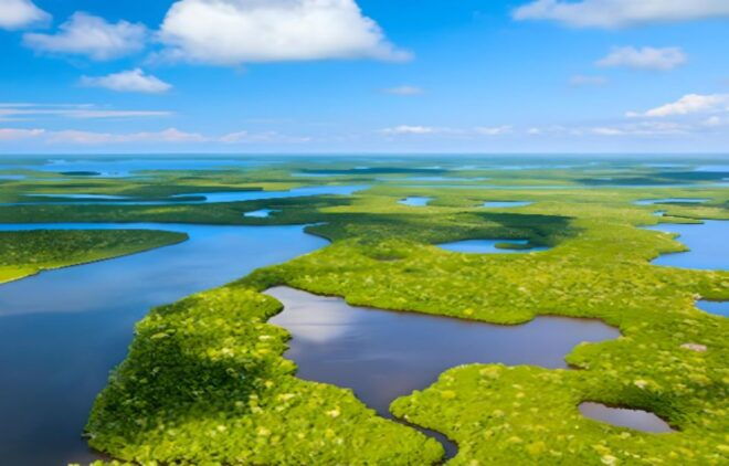 Everglades Immersion Tour: The Ultimate Everglades Adventure - Common Questions