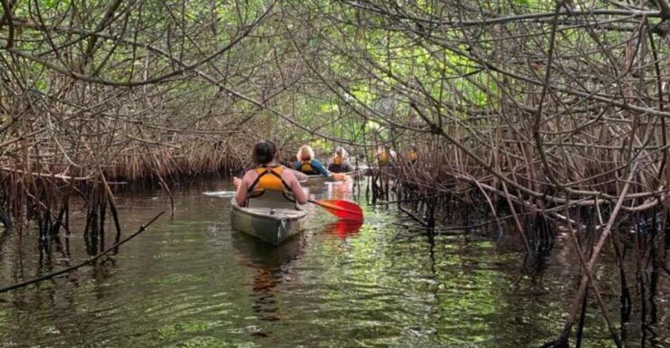Everglades Kayak Eco Tour - Booking Information