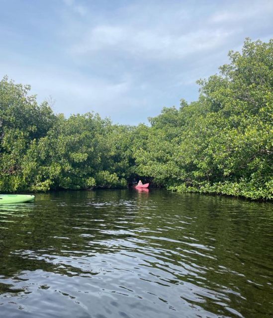 Everglades Kayak Eco Tour - Experience Highlights