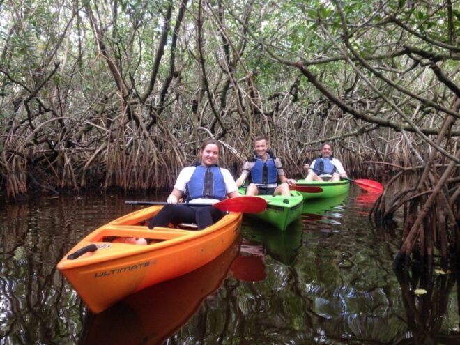Everglades Kayak Safari Adventure Through Mangrove Tunnels - Pricing and Availability
