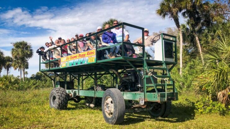 Everglades: Mangrove Maze Airboat Tour and Boardwalk - Good To Know