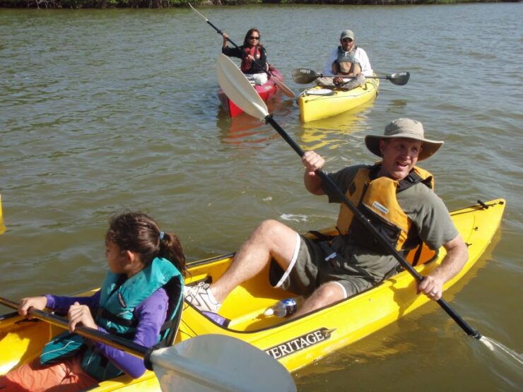 Everglades National Park 3-Hour Kayak Eco Tour - Experience