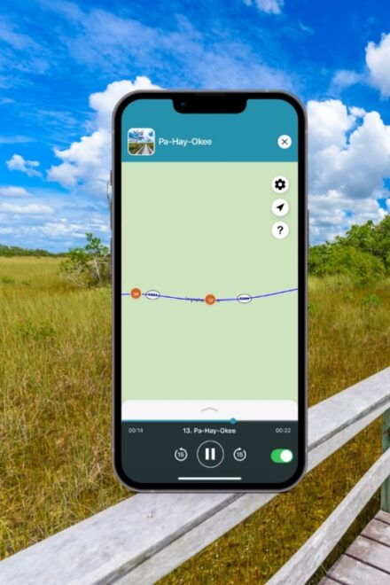Everglades National Park: Audio Tour Guide - Tour Highlights and Inclusions
