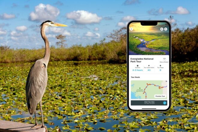 Everglades National Park: Audio Tour Guide - Meeting Point and Price Details