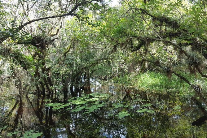 Everglades National Park Biologist Led Adventure: Cruise, Hike Airboat - Ten Thousand Islands Boat Tour