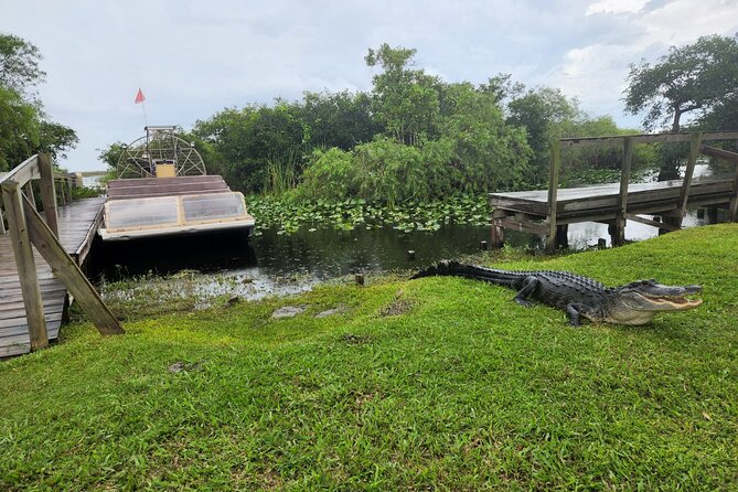 Everglades National Park Biologist Led Adventure: Cruise, Hike Airboat - Positive Guest Experiences and Wildlife Sightings