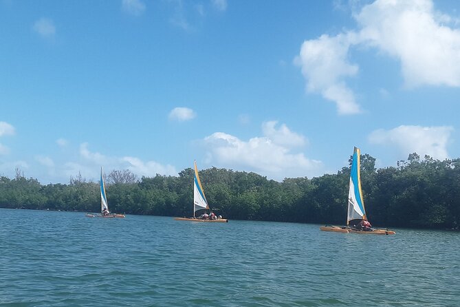 Everglades National Park Kayak/Learn to Sail Tour - Additional Information