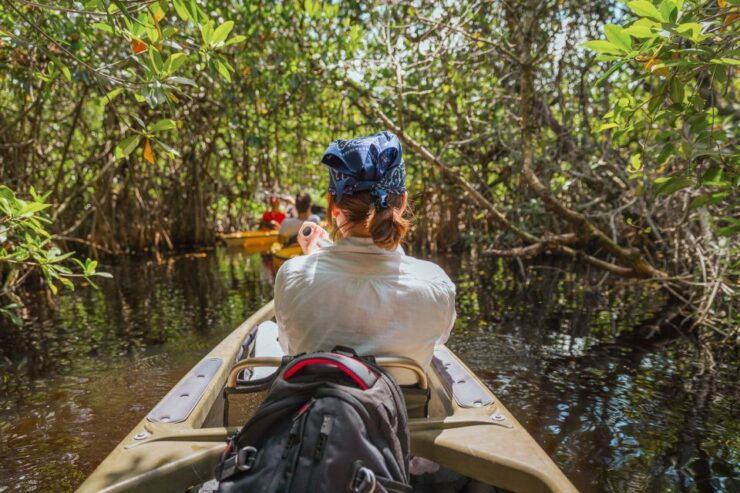 Everglades National Park: Mangrove Tunnel Kayak Eco-Tour - Activity Details