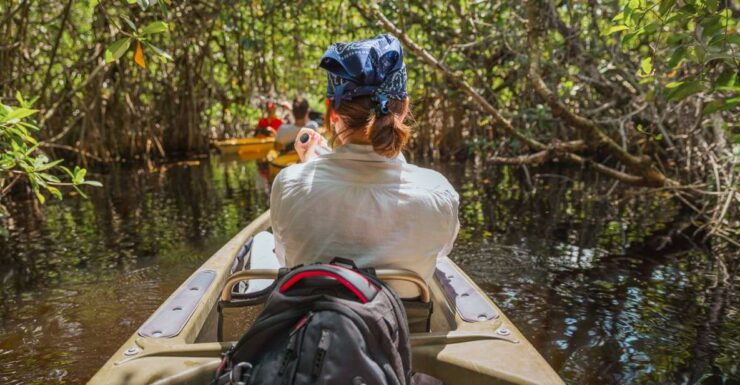Everglades National Park: Mangrove Tunnel Kayak Eco-Tour - Experience Highlights