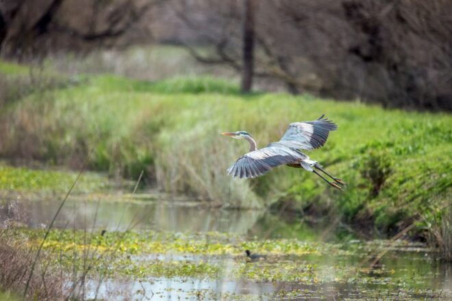 Everglades National Park: Mangrove Tunnel Kayak Eco-Tour - Customer Reviews