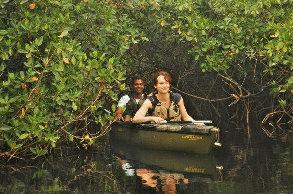 Everglades National Park: Mangrove Tunnel Kayak Eco-Tour - You Might Also Like