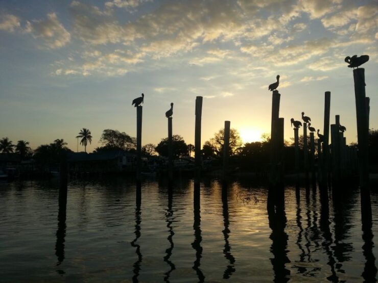 Everglades National Park: Motorboat Eco Tour - Activity Details