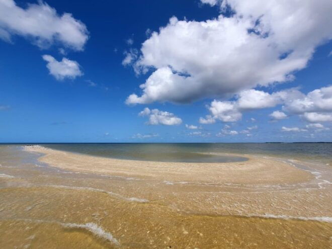 Everglades National Park: Motorboat Eco Tour - Tour Details