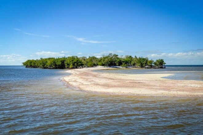 Everglades National Park: Pontoon Boat Tour & Boardwalk - Important Details