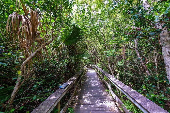 Everglades National Park Self-Guided Audio Tour - Who Will Love This Tour?