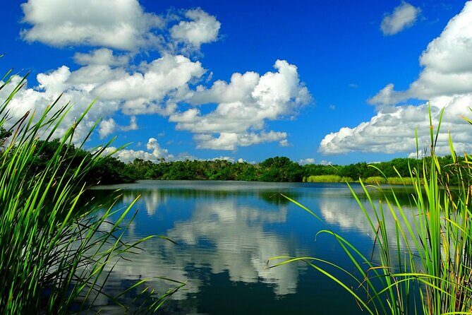 Everglades National Park Self-Guided Audio Tour - FAQ