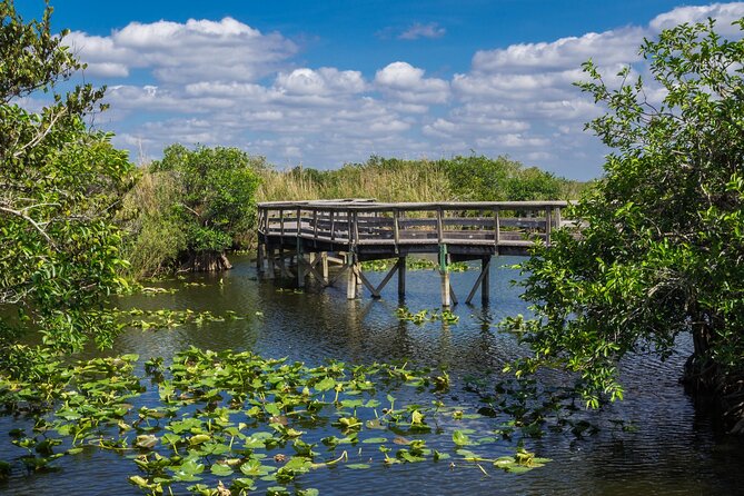 Everglades National Park Self Guided Driving Audio Tour - Cancellation Policy