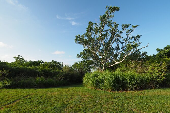 Everglades National Park Self Guided Driving Audio Tour - Traveler Photos