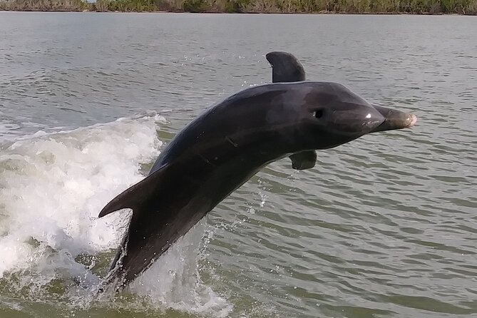 Everglades National Park Small Group Guided Boating and Walking Expedition - Overview and Experience