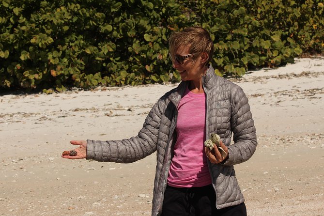 Everglades National Park Small Group Guided Boating & Walking Tour Expedition - Disappointments