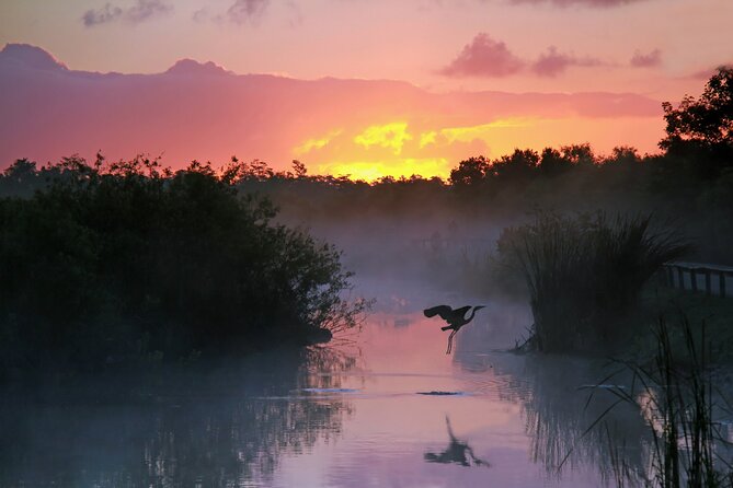 Everglades NP & Big Cypress Self-Guided Driving Audio Tour Bundle - Tour Features and Benefits