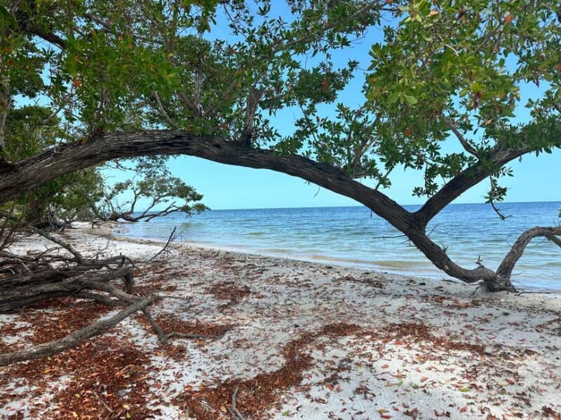 Everglades Pirate and Beach Adventure - Introduction