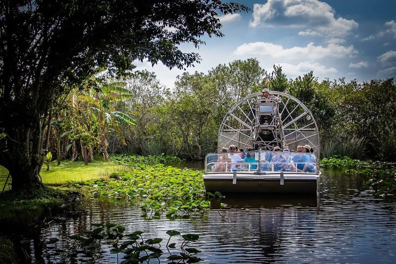 Everglades Safari Park Ticket in Florida - What the ticket includes on land