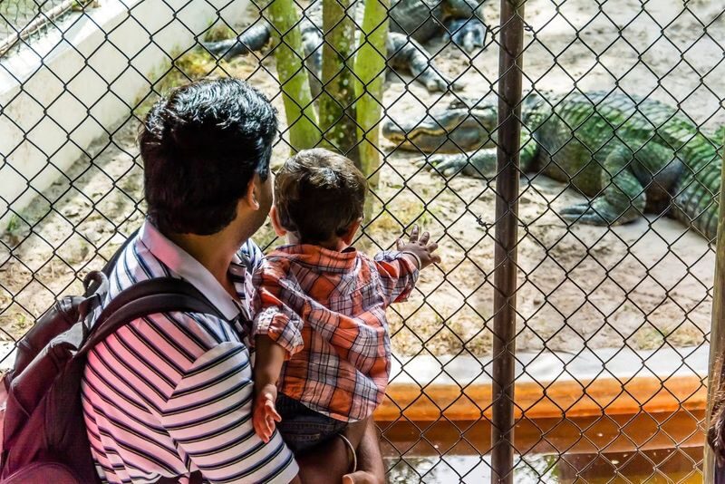 Everglades Safari Park Ticket in Florida - Is the park a good fit for families?