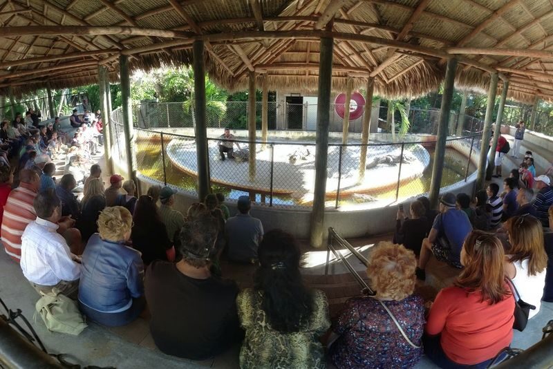 Everglades Safari Park Ticket in Florida - Practical details that can make the day easier