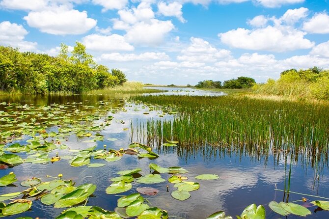Everglades Small Group Express From Fort Lauderdale Airboat Ride - Additional Information for Participants