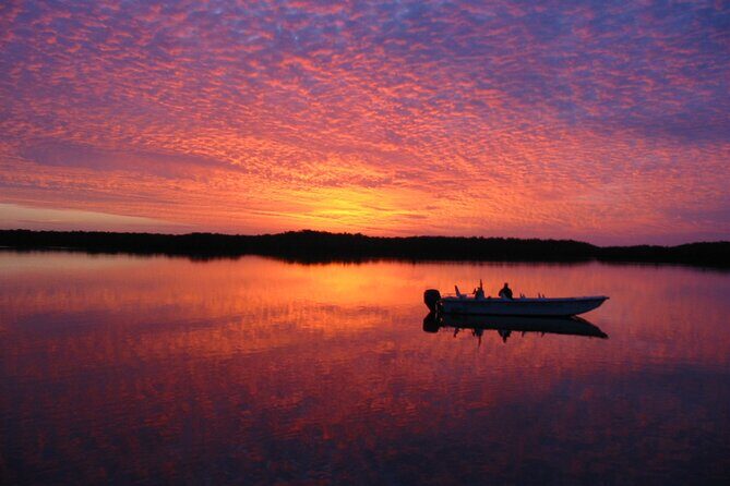 Everglades Small Group Guided Boating and Walking Expedition - A Closer Look at the Tour: What to Expect