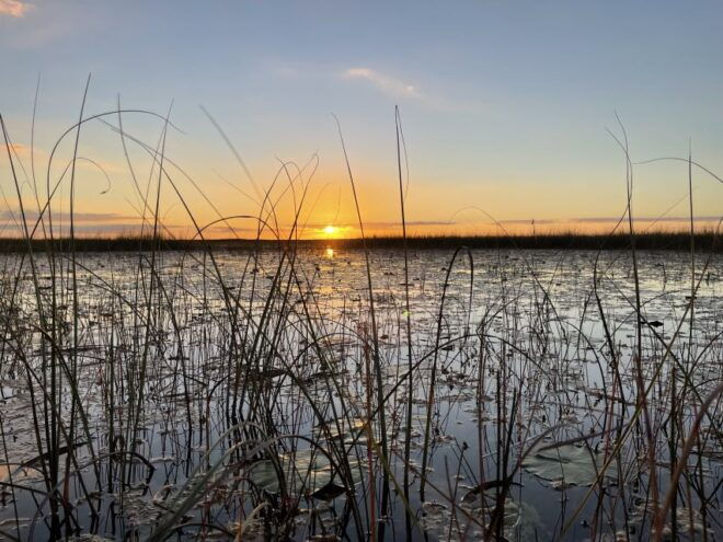 Everglades: Summer Sunset Tour on Small Private Airboat - Participant Information and Meeting Point