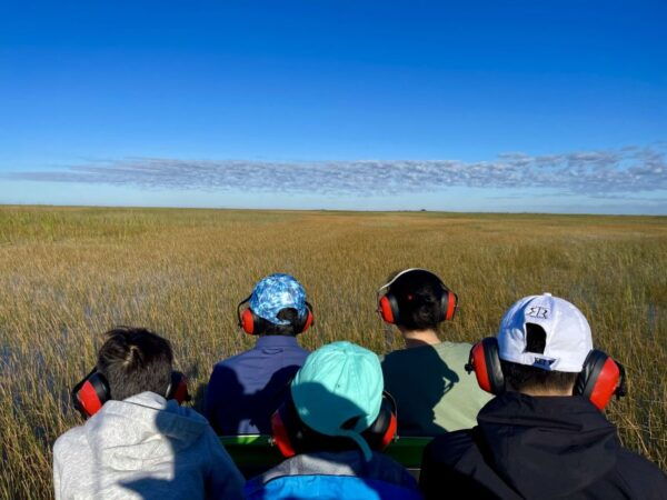 Everglades: Summer Sunset Tour on Small Private Airboat - The Sum Up